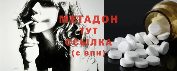 гидра Абаза