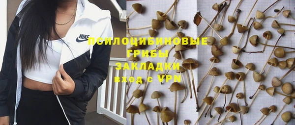 гидра Абаза