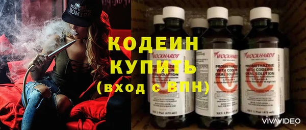гидра Абаза