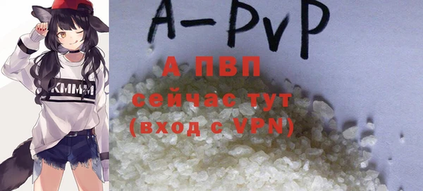 гидра Абаза