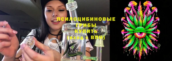 крисы Магадан