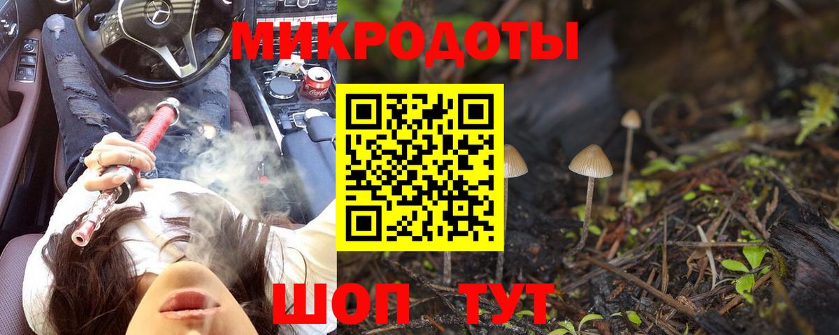 Алейск  Псилоцибиновые грибы Psilocybine cubensis  Вход с VPN  Галлюциногенные грибы MAGIC MUSHROOMS 